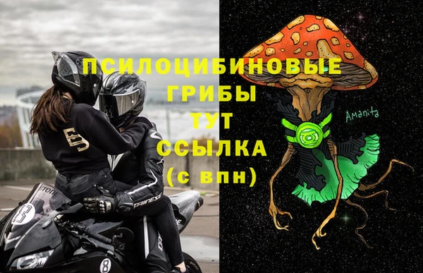 прущие грибы Братск