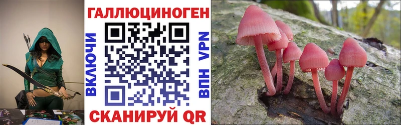 блэк спрут как зайти  Знаменск  Галлюциногенные грибы Psilocybine cubensis 